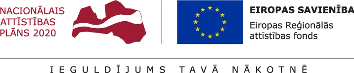 NAP 2020 un ES fondu logotipi